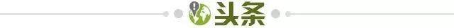 世界杯举办城市-【早报】大坂直美点燃主火炬！今日将诞生11枚金牌！